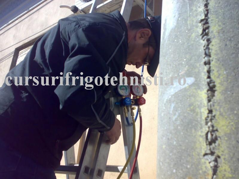 05102013193 (Custom).jpg