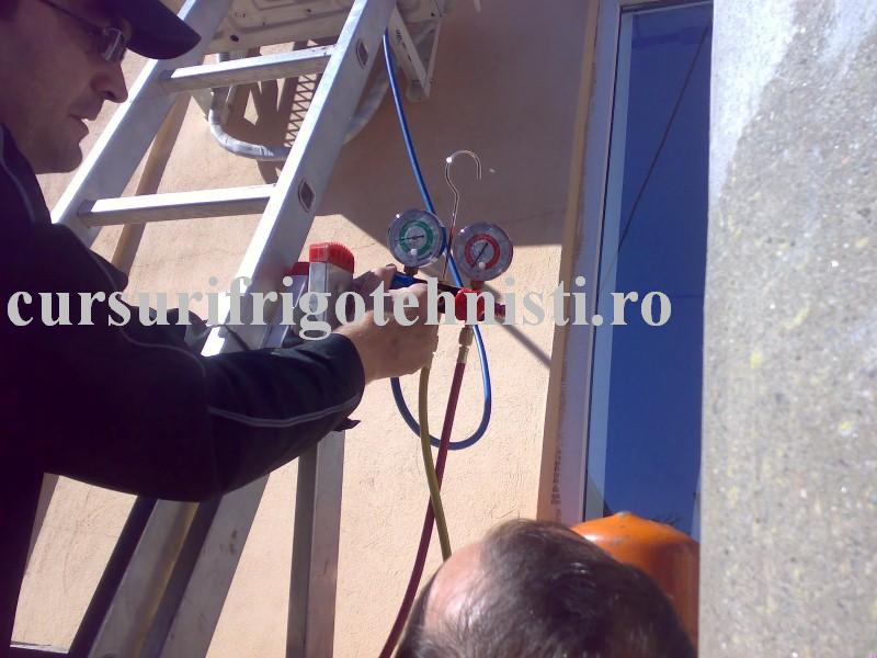 05102013194 (Custom).jpg