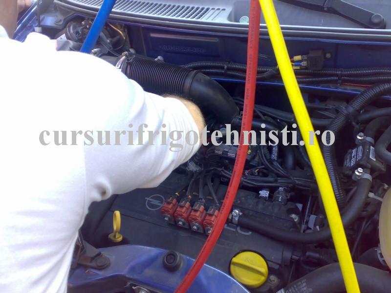 26102013263 (Custom).jpg