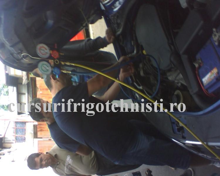 IMG_0014 (Custom).JPG