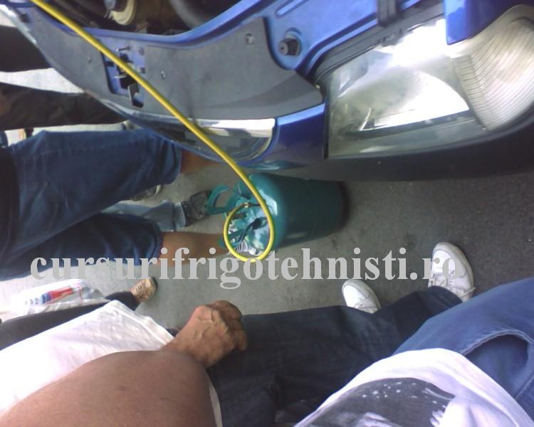 IMG_0015 (Custom).JPG