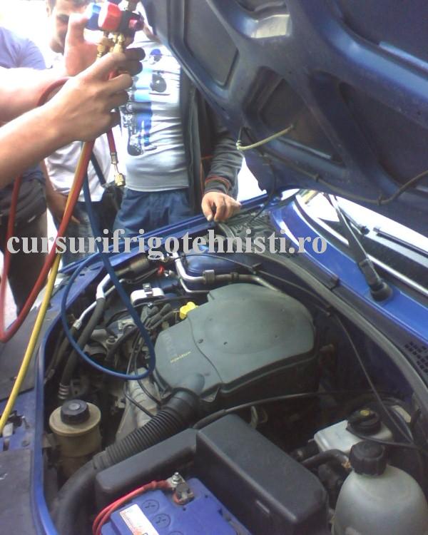 IMG_0016 (Custom).JPG