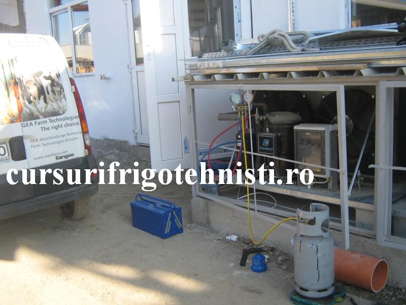 IMG_3291 (Custom).JPG