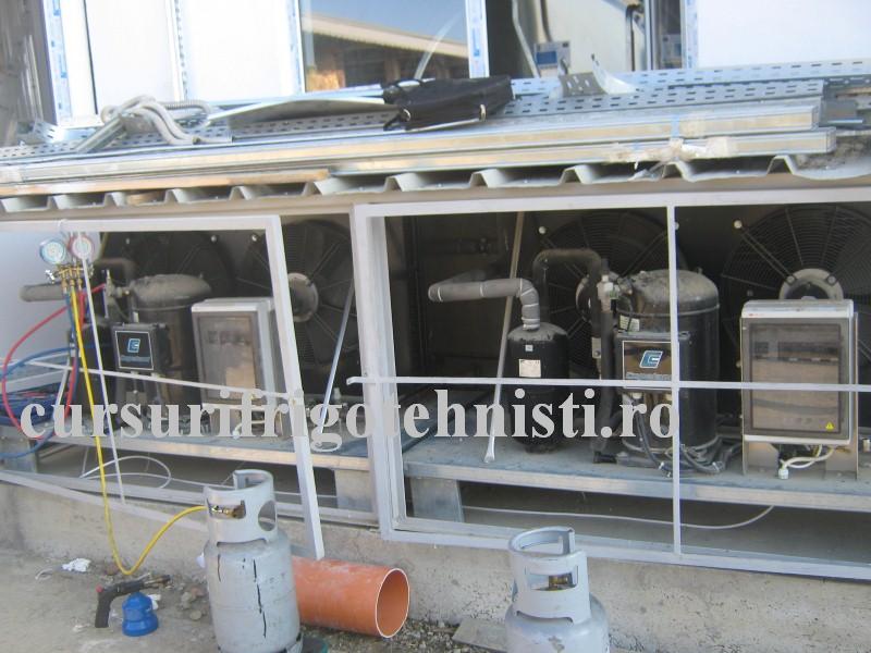 IMG_3290 (Custom).JPG