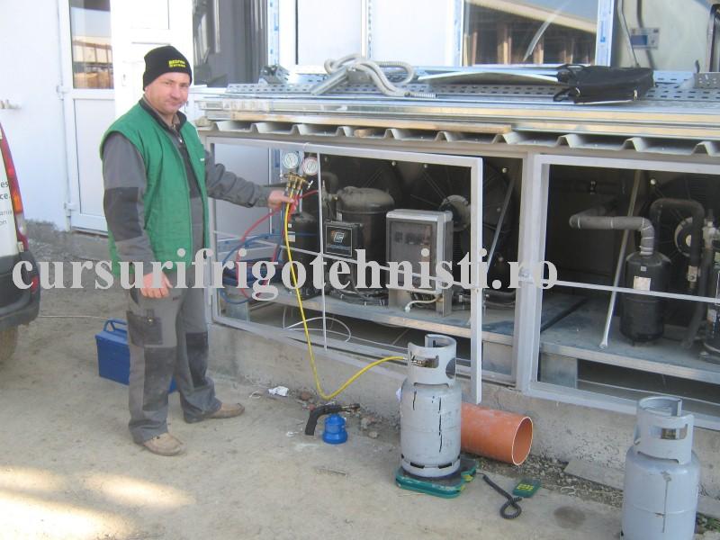 IMG_3289 (Custom).JPG