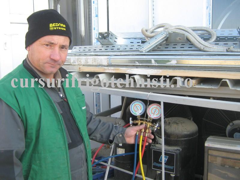 IMG_3288 (Custom).JPG