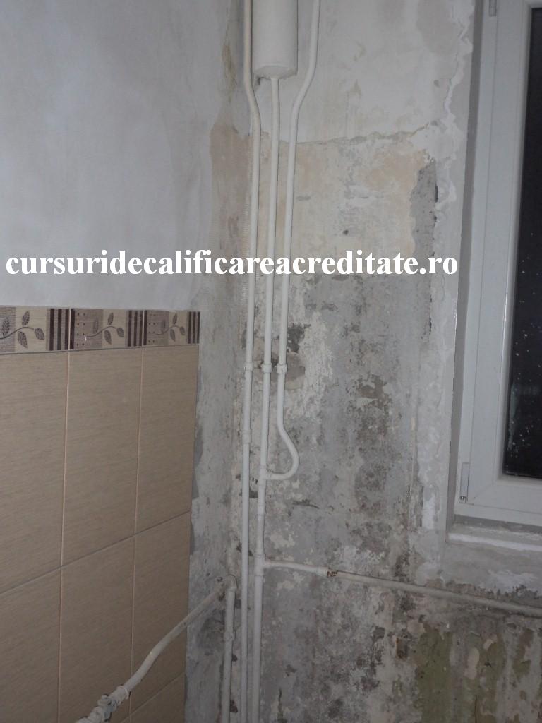 DSC05661 (Custom).JPG