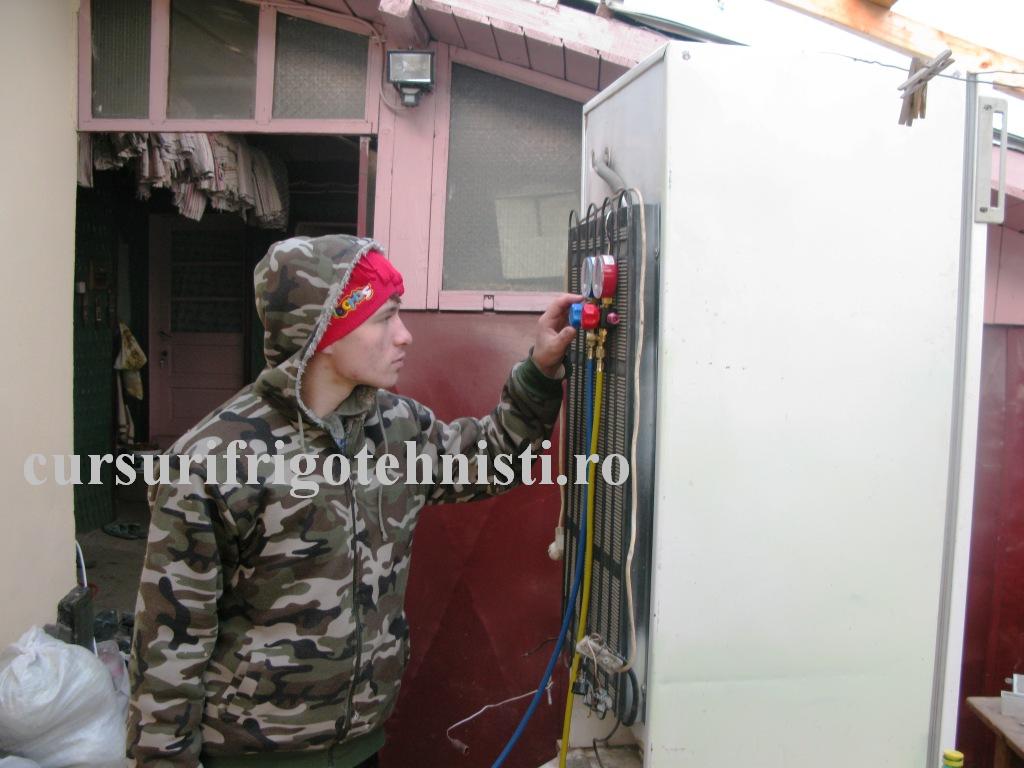 nepotu `pus` la treaba.jpg