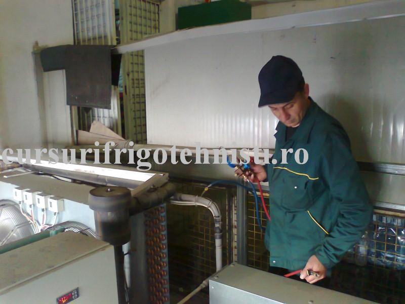 Photo0111 (Custom).jpg