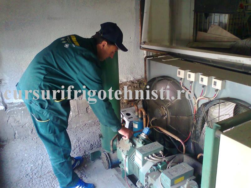 Photo0113 (Custom).jpg