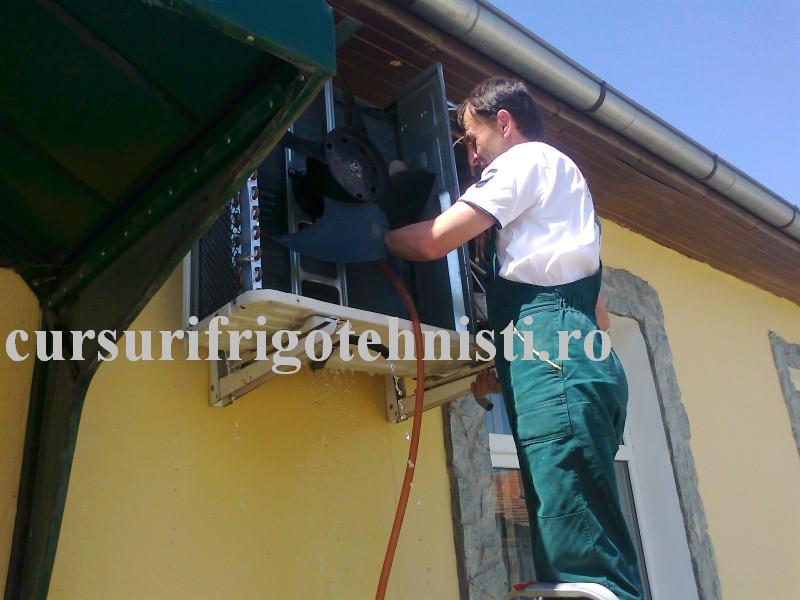 Photo0117 (Custom).jpg