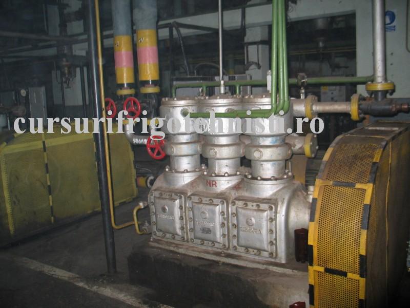 IMG_0105 (Custom).JPG