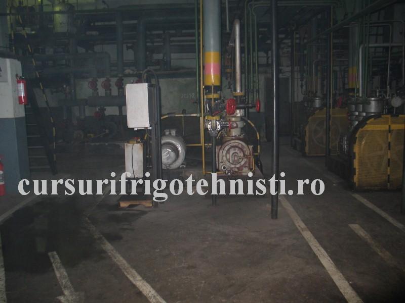 IMG_0108 (Custom).JPG