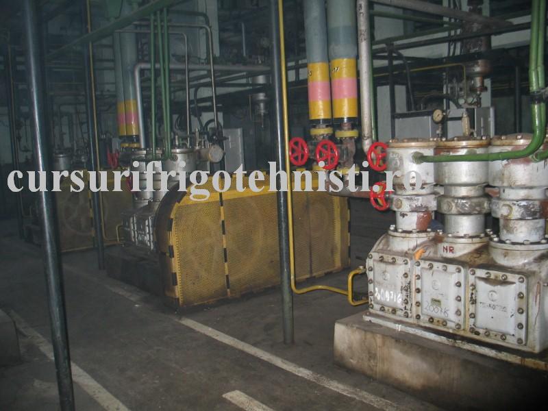 IMG_0109 (Custom).JPG