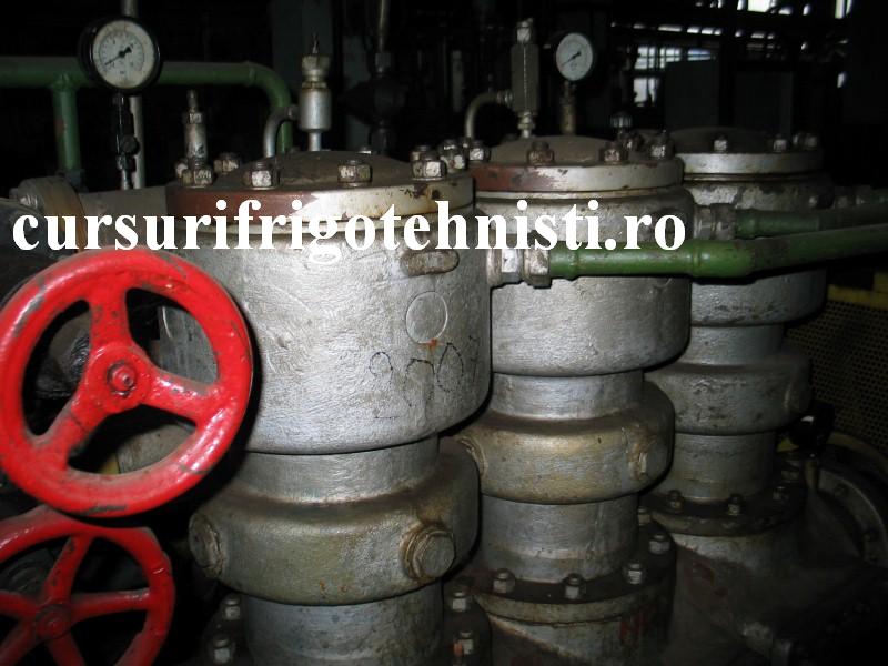 IMG_0110 (Custom).JPG