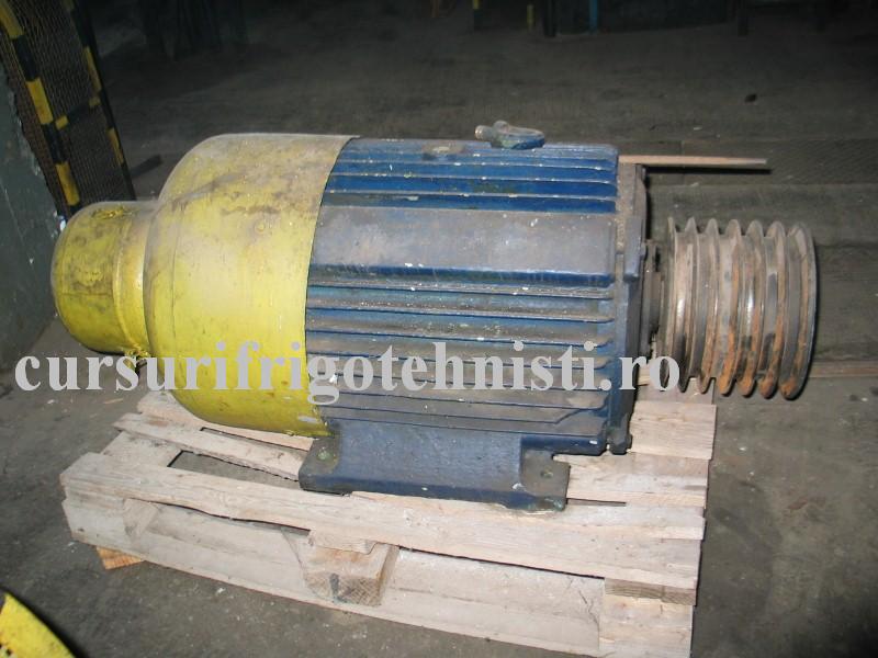 IMG_0111 (Custom).JPG