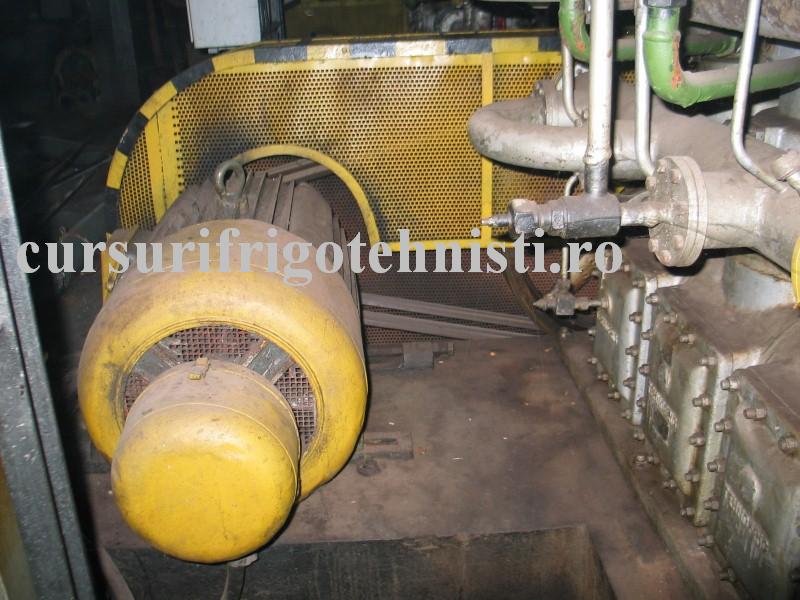 IMG_0112 (Custom).JPG