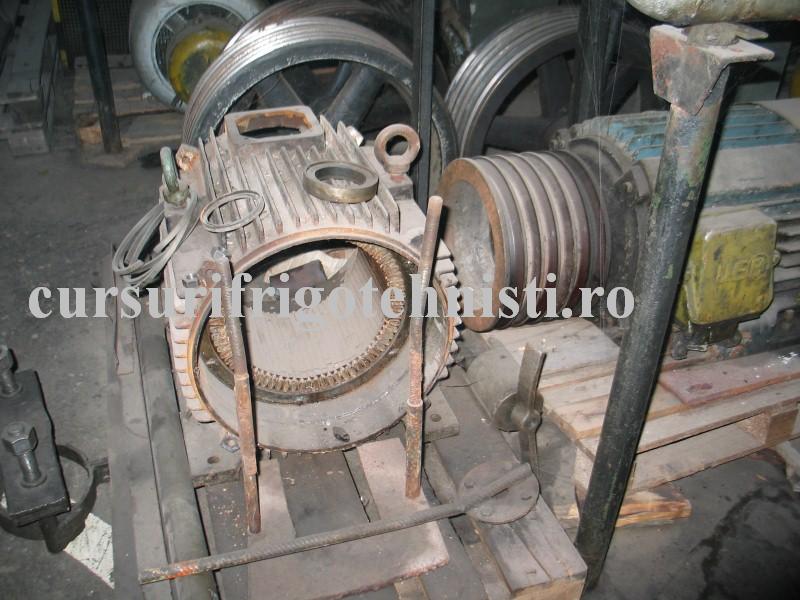 IMG_0113 (Custom).JPG