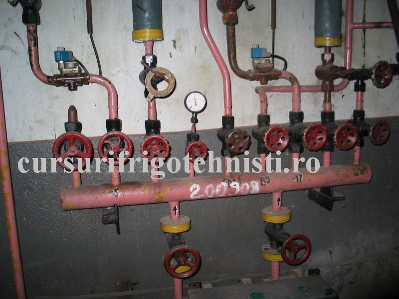 IMG_0114 (Custom).JPG