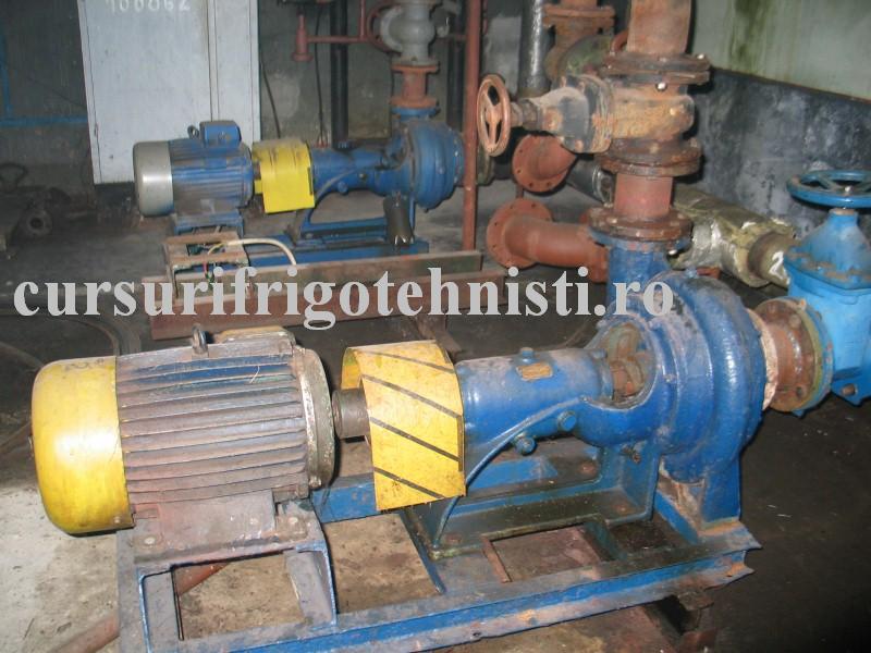 IMG_0115 (Custom).JPG