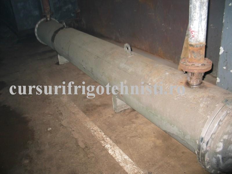 IMG_0116 (Custom).JPG