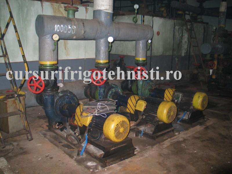 IMG_0118 (Custom).JPG