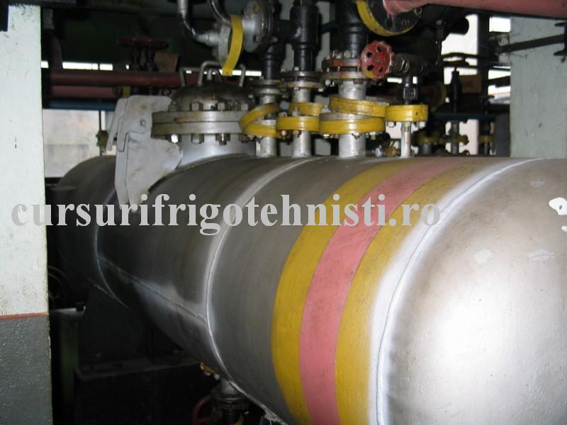 IMG_0123 (Custom).JPG