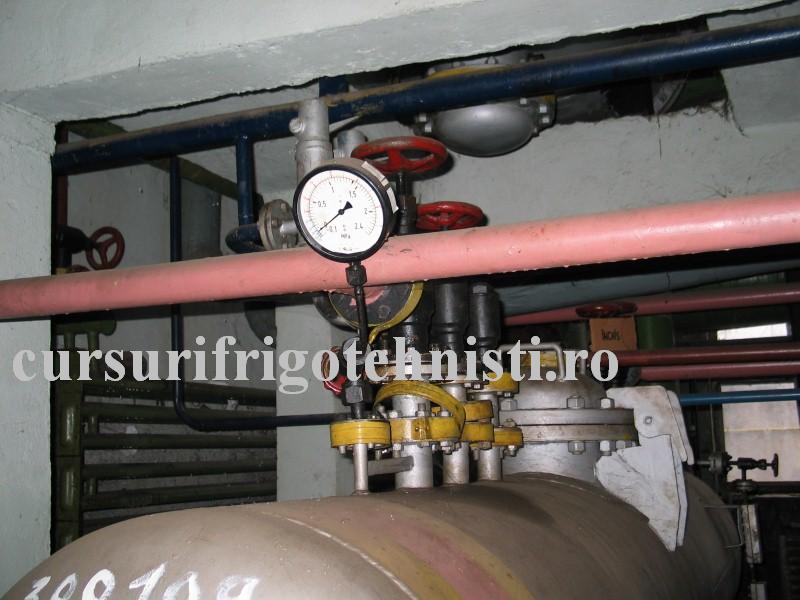 IMG_0124 (Custom).JPG