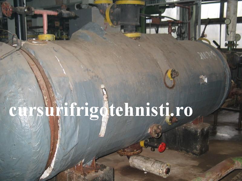 IMG_0126 (Custom).JPG