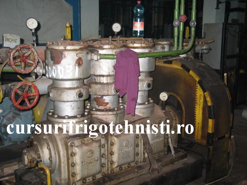 IMG_0127 (Custom).JPG