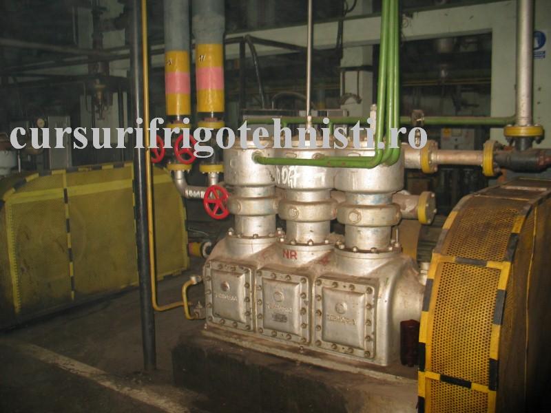 IMG_0106 (Custom).JPG