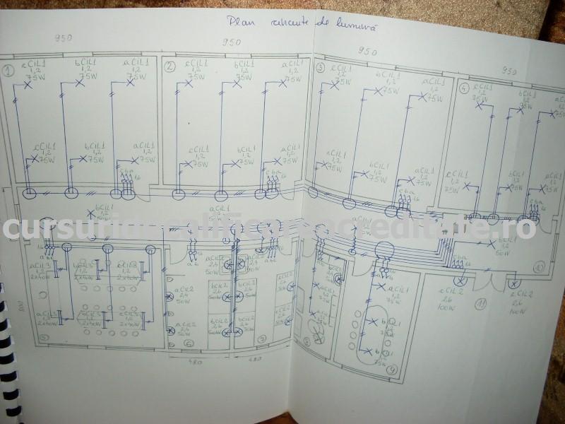 SDC10616 (Custom).JPG