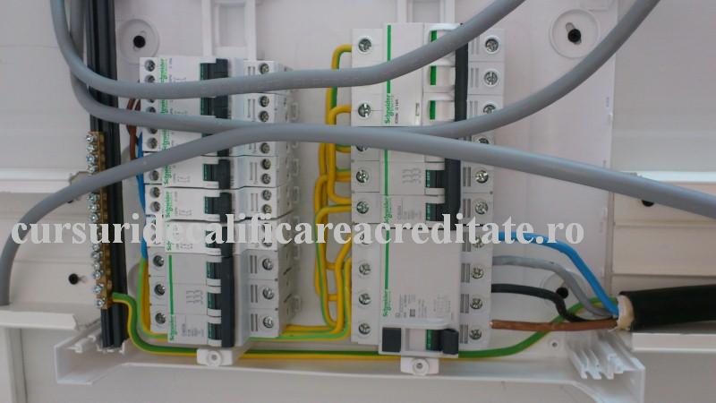 DSC_0442 (Custom).JPG