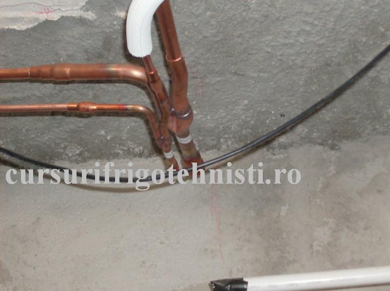 HPIM1199 (Custom) (2).JPG