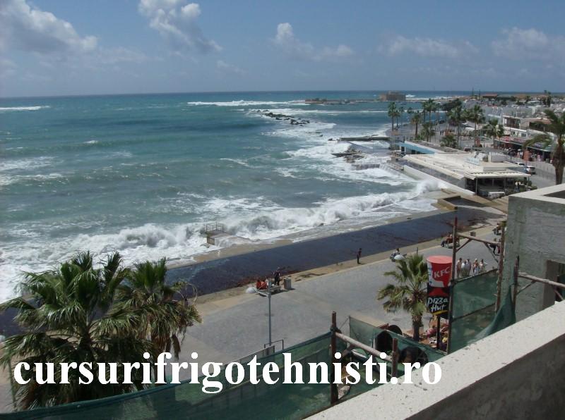 HPIM1193 (Custom).JPG