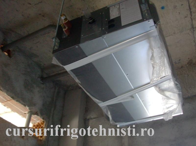 HPIM1181 (Custom).JPG