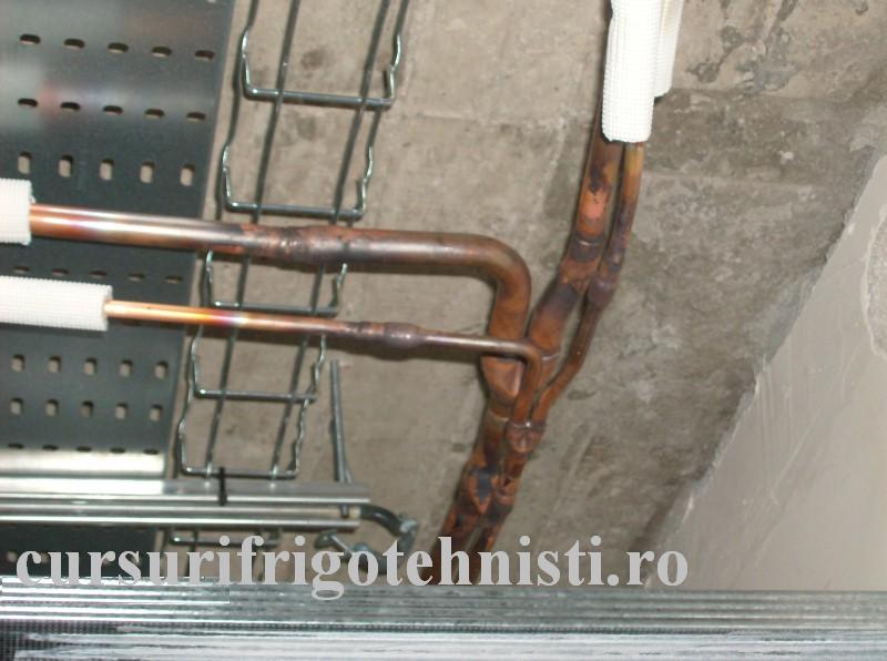 HPIM1171 (Custom).JPG