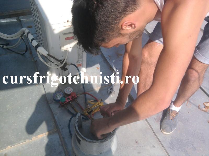 Fotografie0673 (Custom).jpg