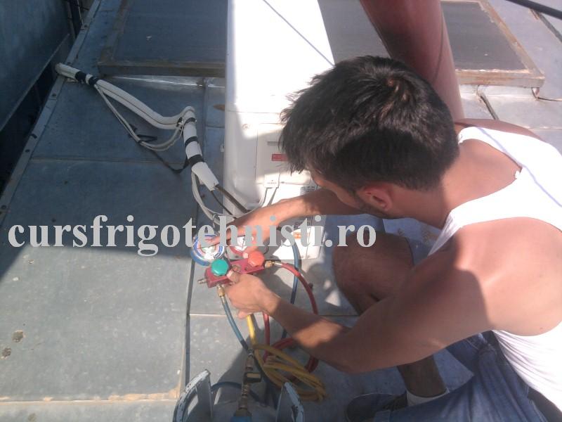 Fotografie0672 (Custom).jpg