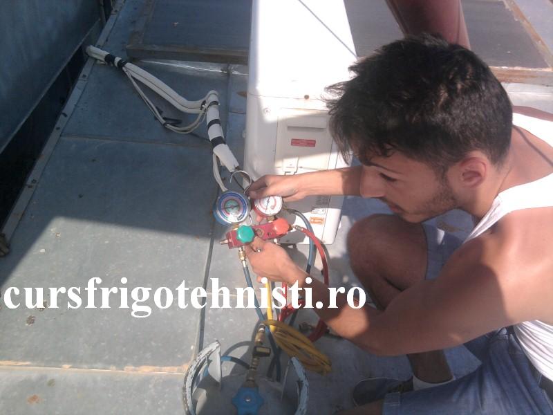 Fotografie0671 (Custom).jpg