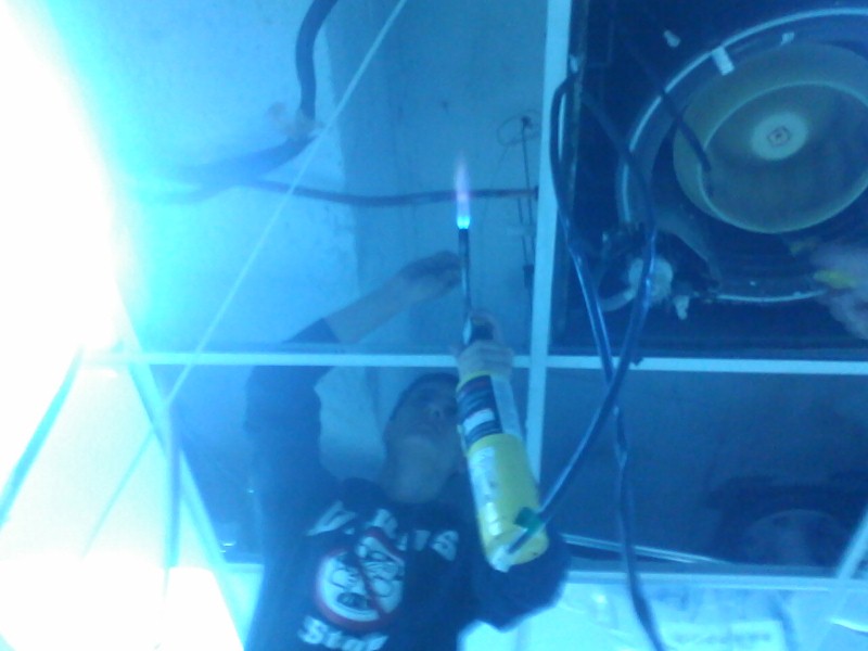 Fotografie0188 (Custom).jpg