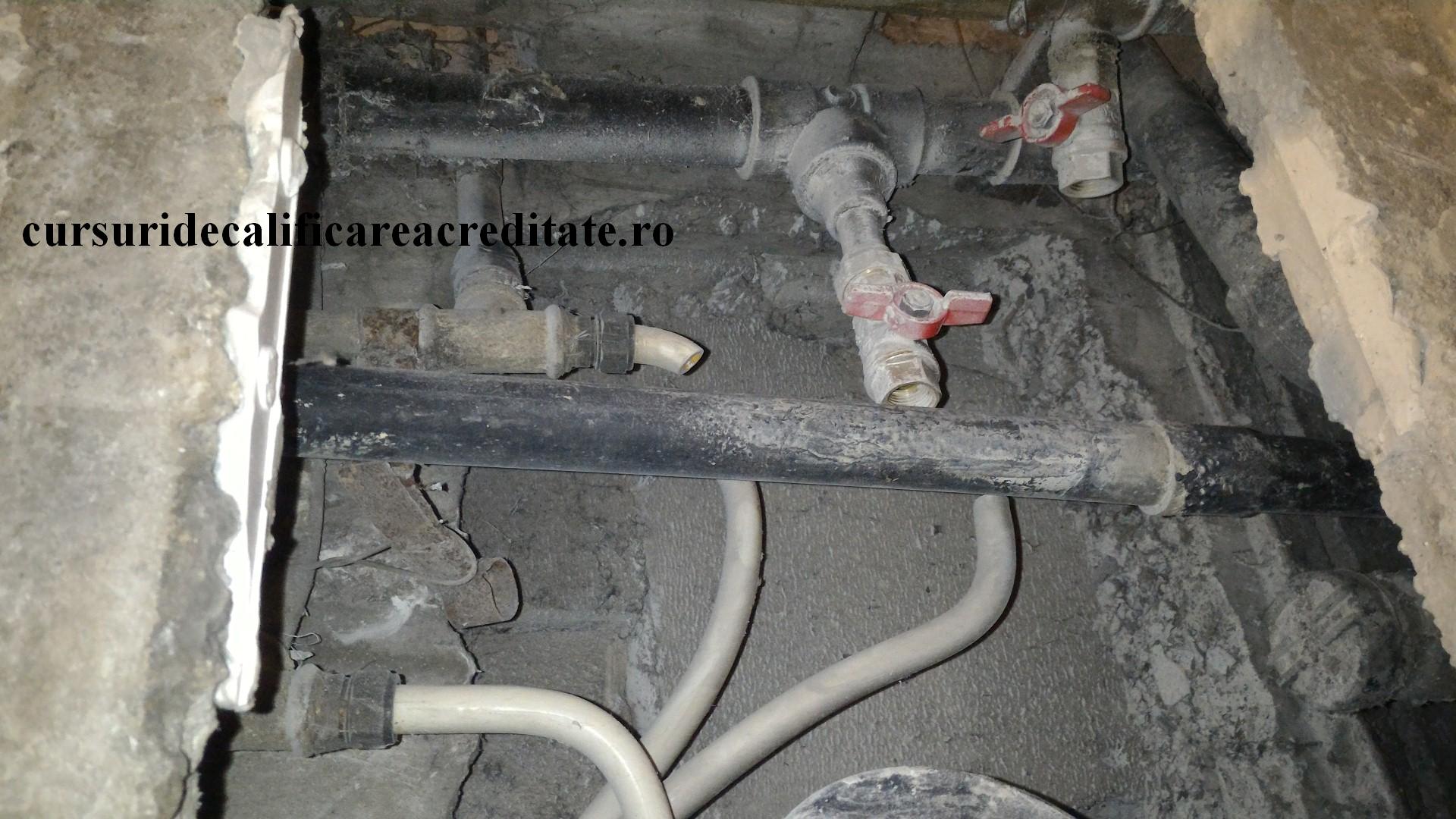 P_20160206_084554 (Large).jpg