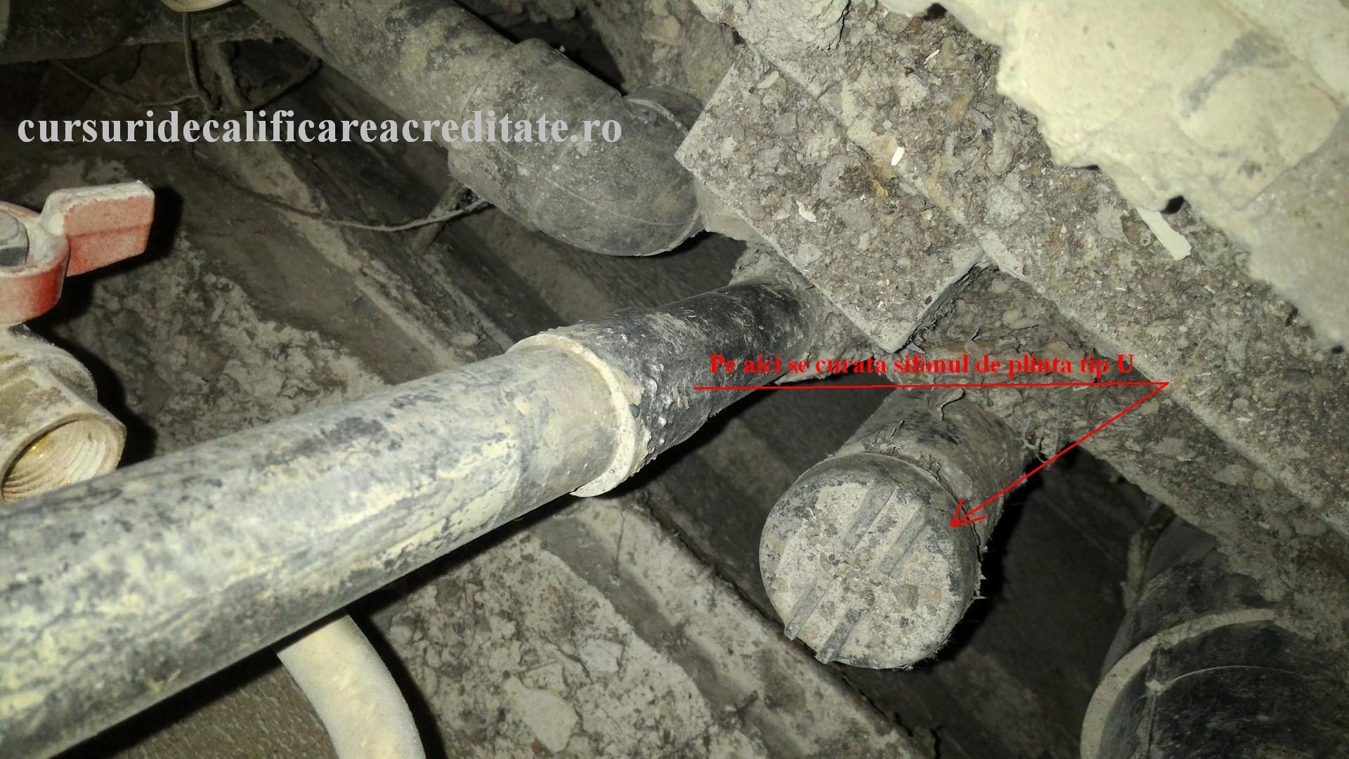 P_20160206_084604 (Large).jpg