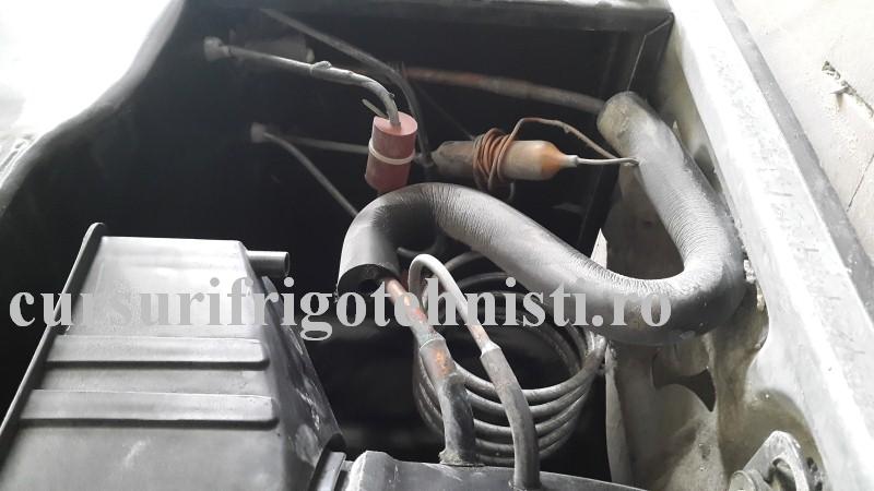 20160314_113931 (Custom).jpg