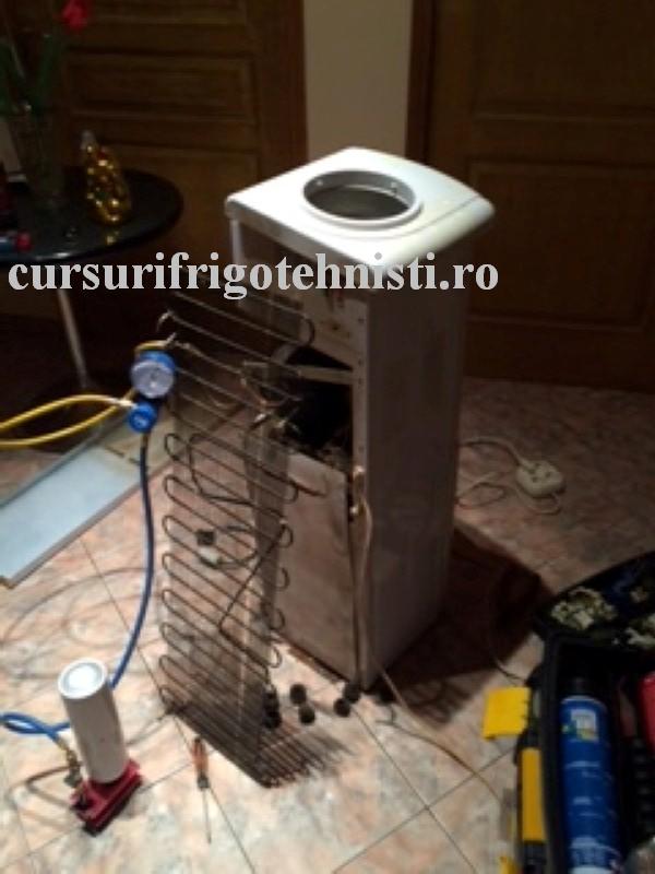 IMG_8135 (Custom).JPG