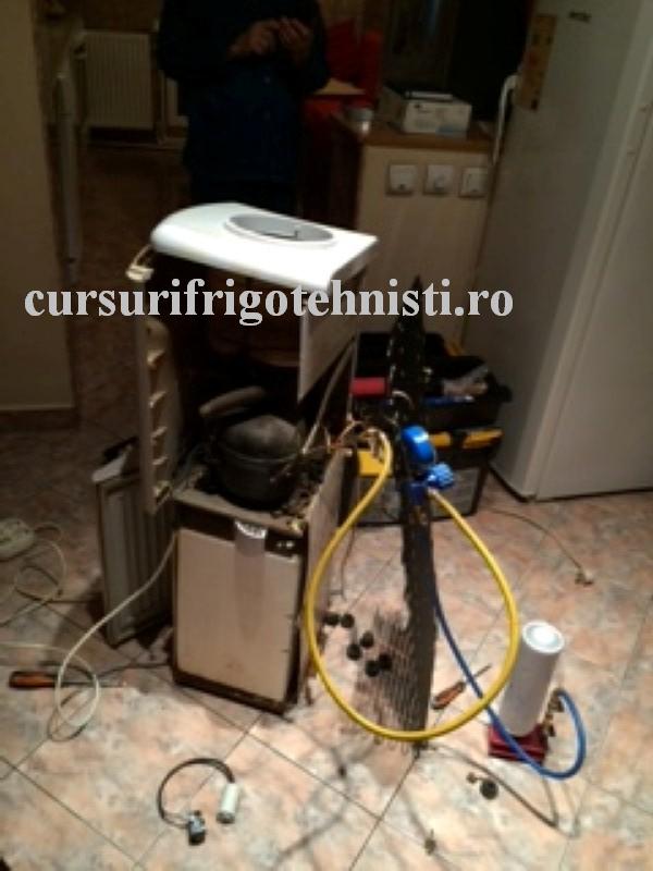 IMG_8134 (Custom).JPG