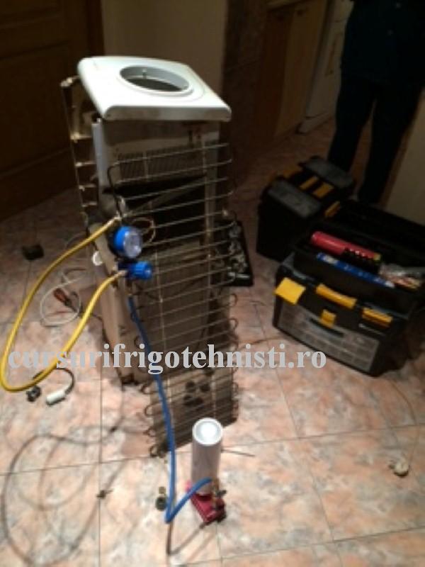 IMG_8133 (Custom).JPG