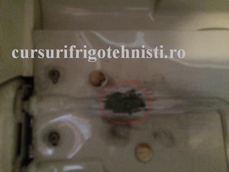 IMG_8328 (Custom).JPG