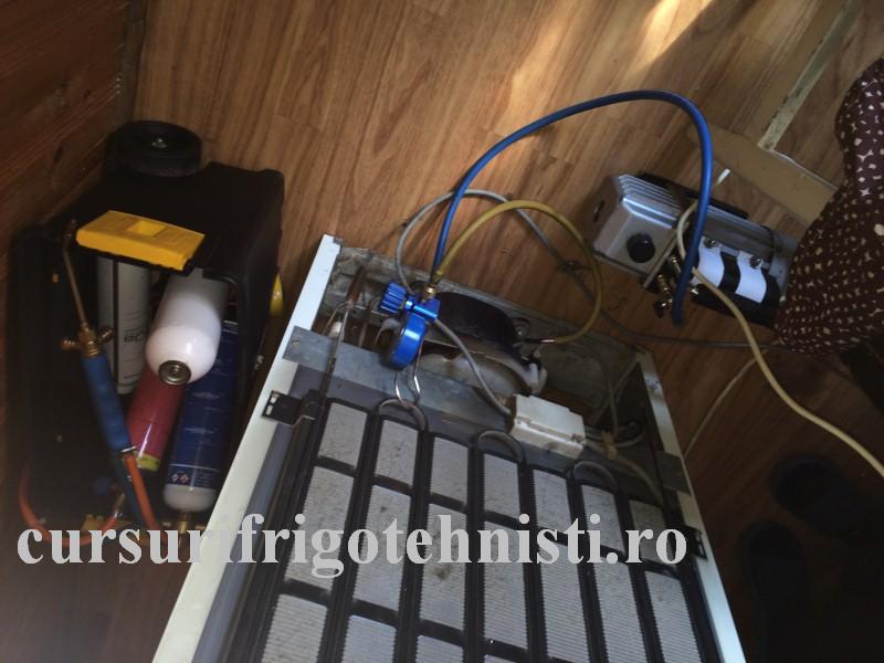 IMG_8334 (Custom).JPG