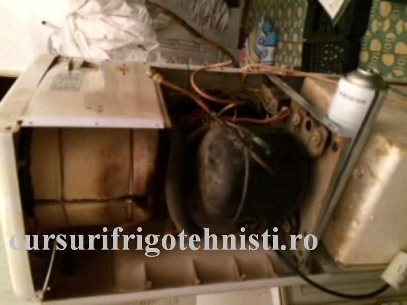 IMG_8356 (Custom).JPG